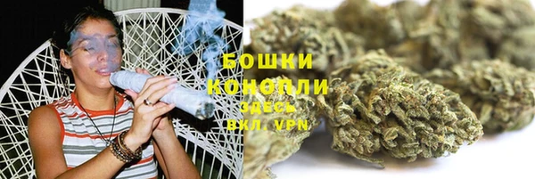 эйфоретик Арсеньев