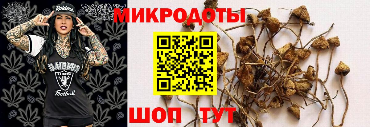 Галлюциногенные грибы Cubensis Люберцы